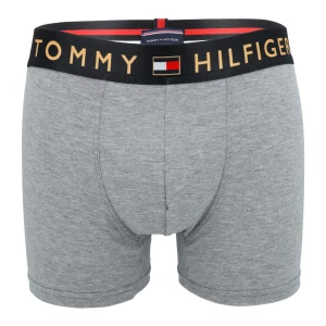 Bokserki męskie majtki szare TOMMY HILFIGER B40