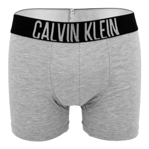 Bokserki męskie majtki szare CALVIN KLEIN B46