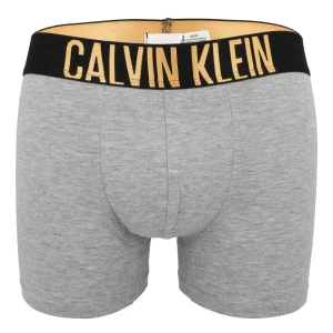 Bokserki męskie majtki szare CALVIN KLEIN B76